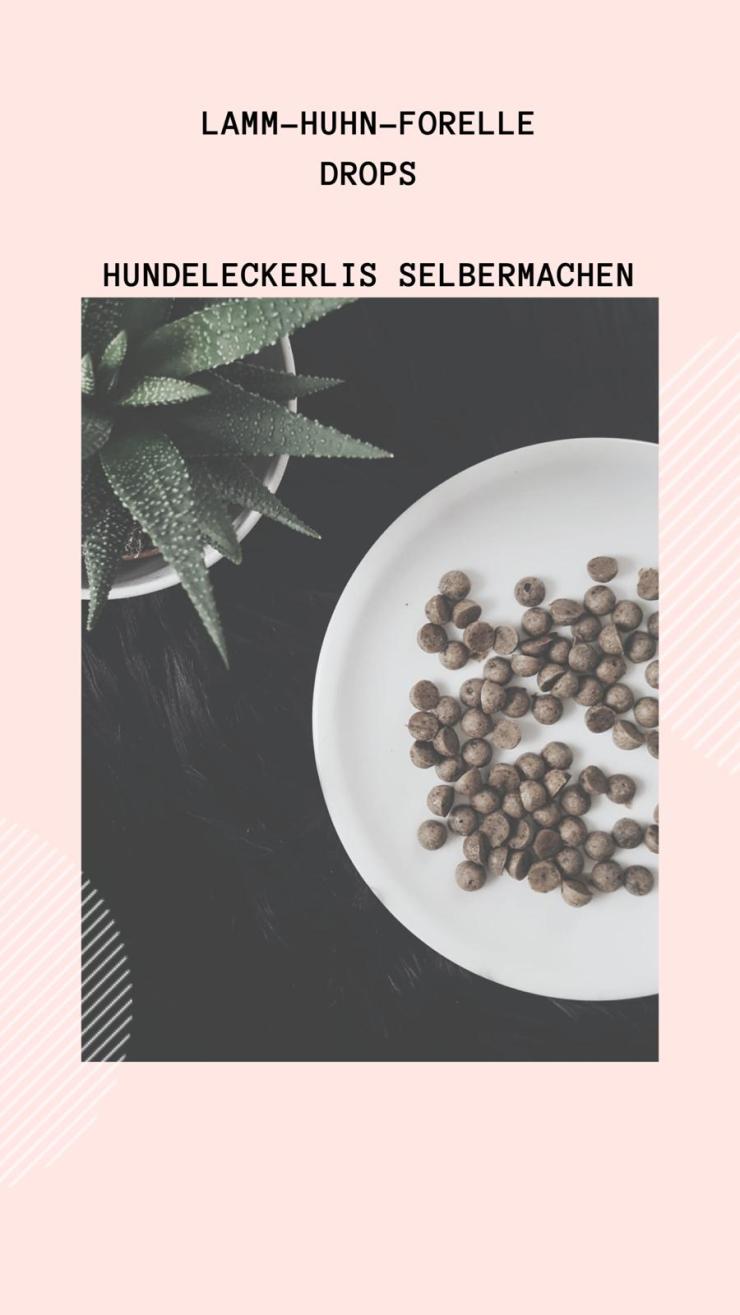 Lamm-Huhn-Forelle Drops