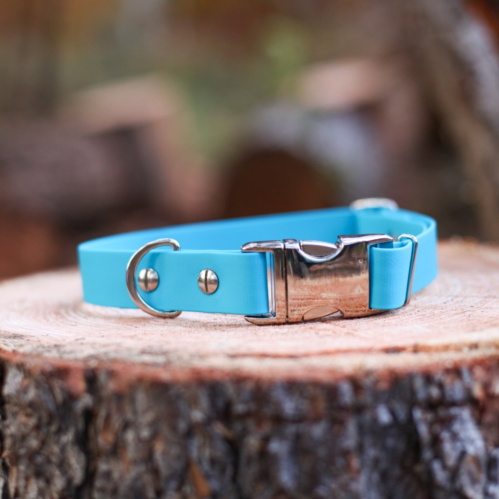 Verstellbares Hundehalsband 